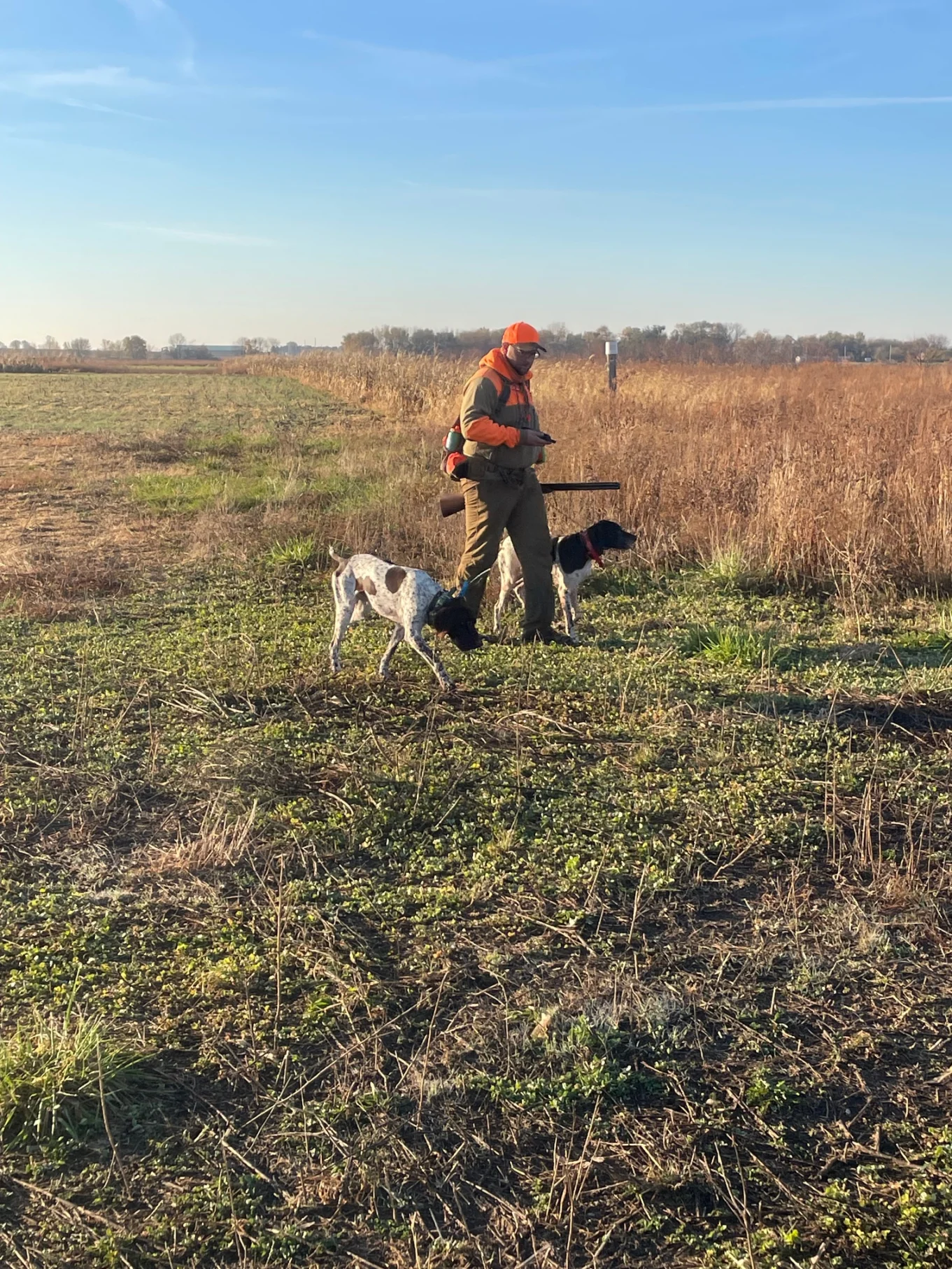 hunting-2025-5