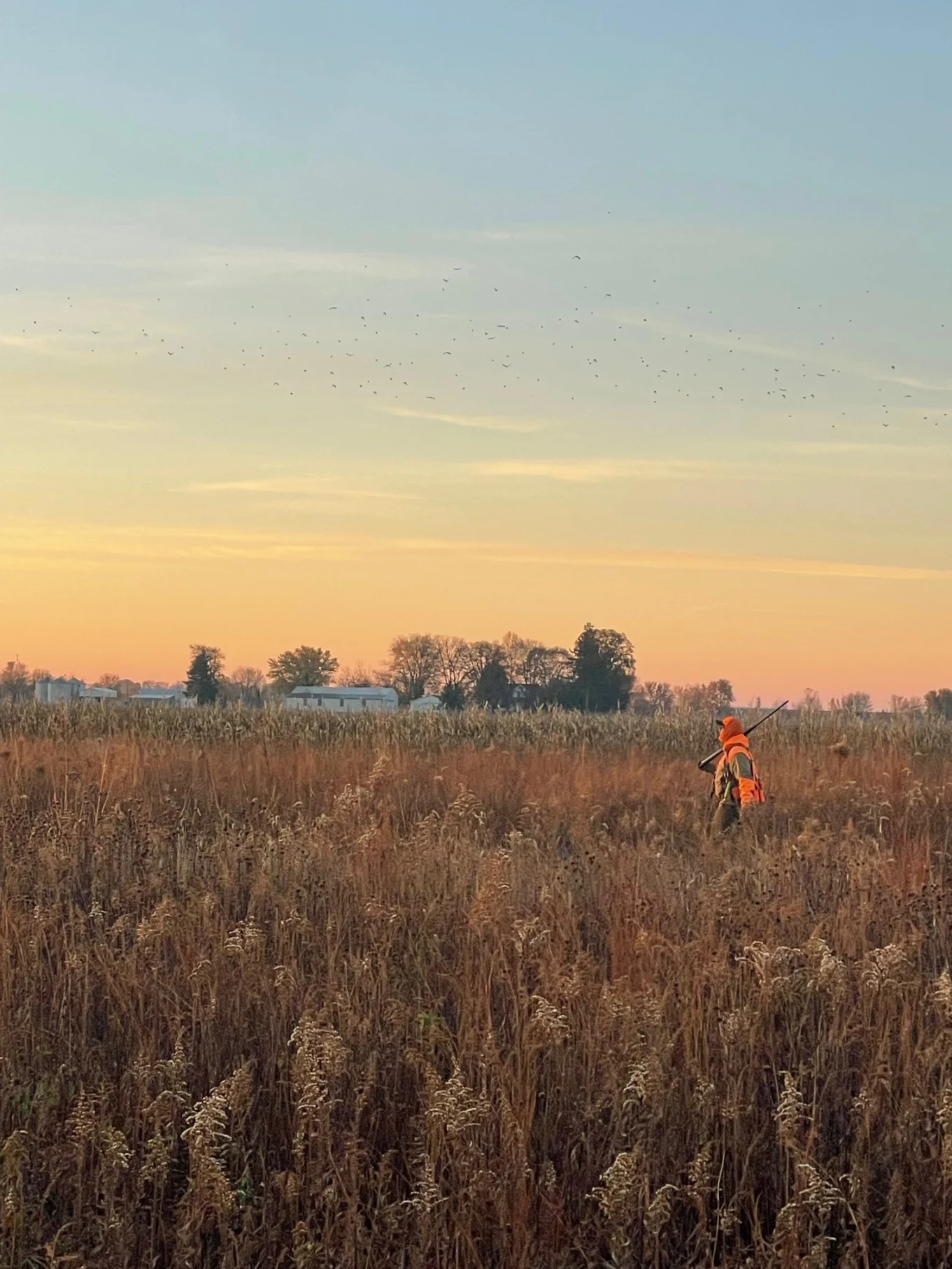 hunting-2025-7